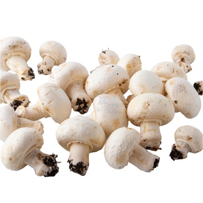 Шампиньоны свежие 500 г - купить в Новом Алдаре